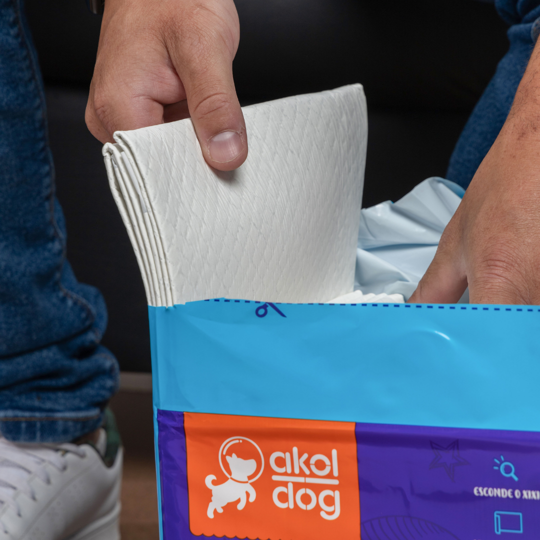 Kit 2 Tapete Higiênico 50×60 Cinza Ultra Absorvente